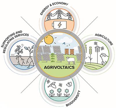 Opportunities for agrivoltaic systems to achieve synergistic food-energy-environmental needs and address sustainability goals